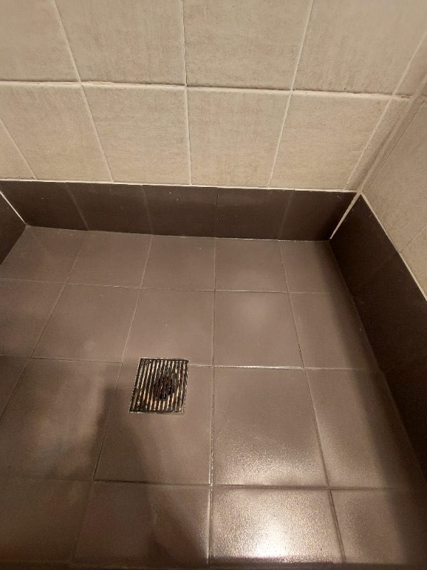 Case Study: Transforming a Shower Area for a Modern and Functional&nbsp;Bathroom