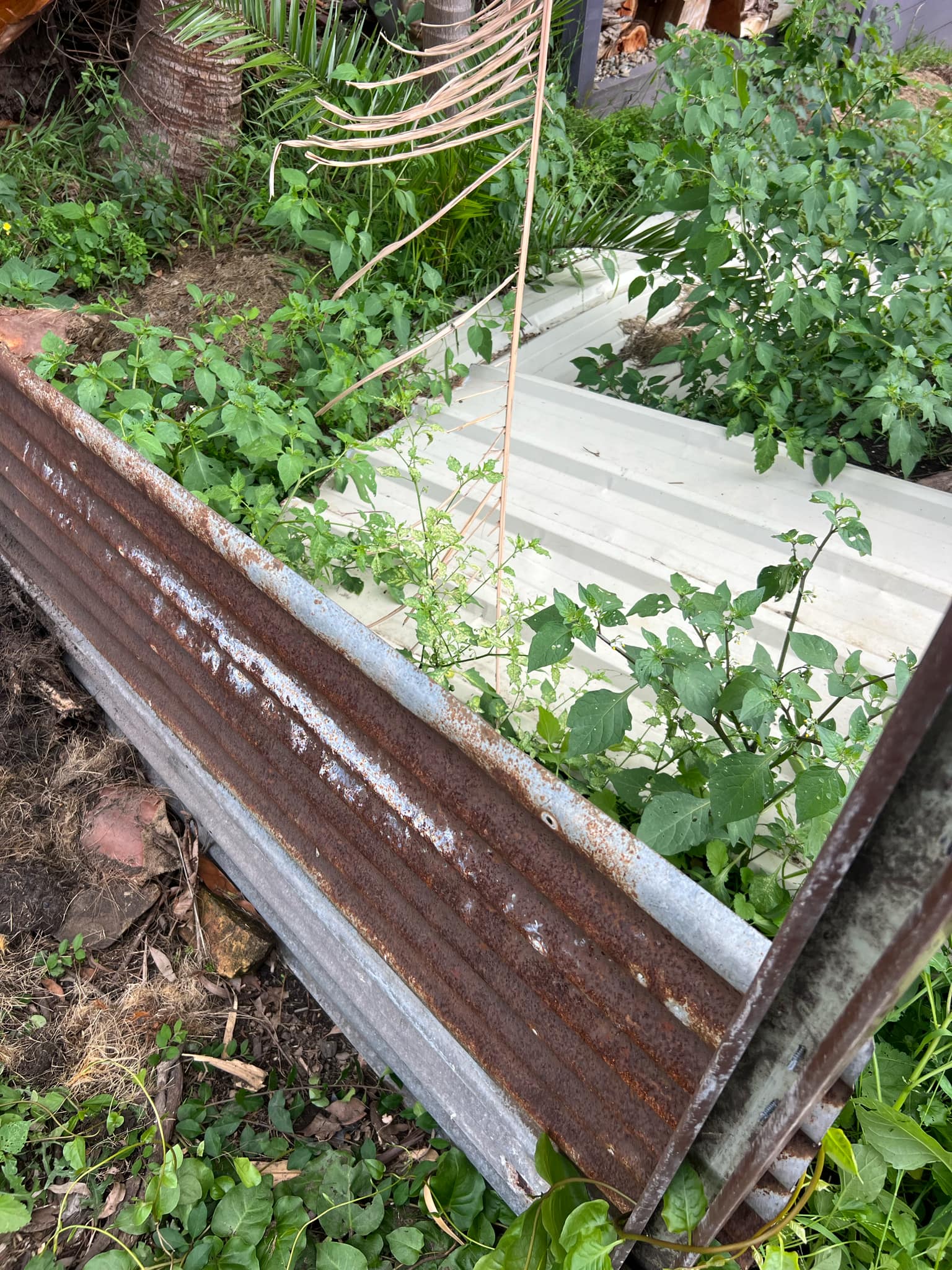 Backyard area with a round concrete stepping stone.